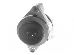 LUCAS ELECTRICAL LRA01005 kintamosios srovės generatorius