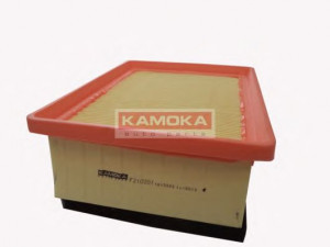 KAMOKA F210201 oro filtras 
 Techninės priežiūros dalys -> Techninės priežiūros intervalai
1444-CC, 1444-VQ, 1444-CA, 1444-VQ