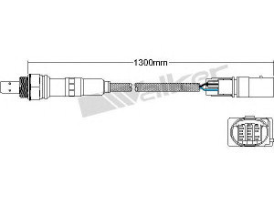 WALKER PRODUCTS 800-95024 lambda jutiklis 
 Variklis -> Variklio elektra
4L0906262G, 4L0906262L