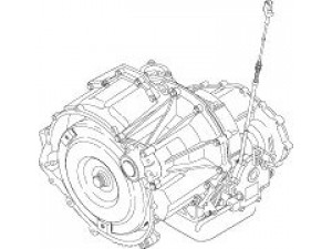 ZF 1050 000 162 automatinė pavarų dėžė
9 619 758 780