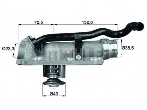 MAHLE ORIGINAL TM 9 105 termostatas, aušinimo skystis 
 Aušinimo sistema -> Termostatas/tarpiklis -> Thermostat
07D 121 111 AK, 07D 121 111 AP
