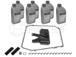 MEYLE 100 135 0104 komplektas, automatinės pavarų dėžės alyvos keitimas 
 Techninės priežiūros dalys -> Techninės priežiūros intervalai
0B5 325 429 E, 0B5 325 429 E