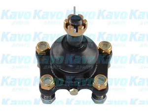 KAVO PARTS SBJ-9008 atramos/vairo trauklė 
 Ašies montavimas/vairavimo mechanizmas/ratai -> Sujungimai -> Atramos/vairo trauklė
4333039265, 4333039315, 4334039245