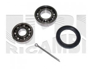 CALIBER RC1720 rato guolio komplektas 
 Ašies montavimas/vairavimo mechanizmas/ratai -> Rato stebulė/montavimas -> Rato guolis
91053634008