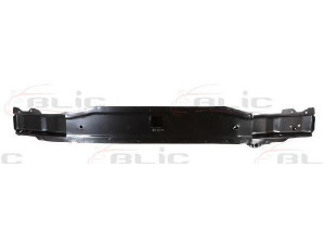BLIC 6502-03-6030230P priekinis variklio gaubtas
7782792146