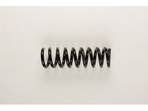 BILSTEIN 36-129690 spyruoklė 
 Pakaba -> Spyruoklės
210 324 32 04
