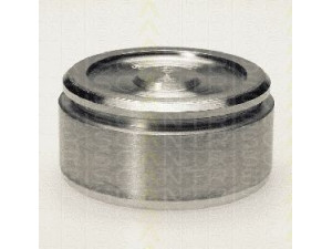 TRISCAN 8170 236027 stūmoklis, stabdžių apkaba