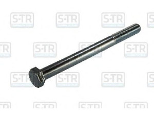S-TR STR-4M20X240 lingės varžtas