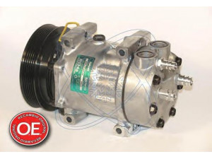 ELECTRO AUTO 20A7943 kompresorius, oro kondicionierius 
 Oro kondicionavimas -> Kompresorius/dalys
4319240, 9629593
