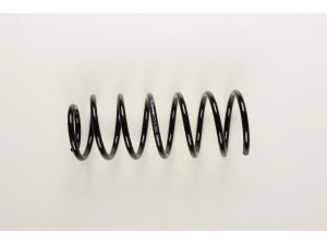 BILSTEIN 36-130818 spyruoklė 
 Pakaba -> Spyruoklės
191 411 105 N