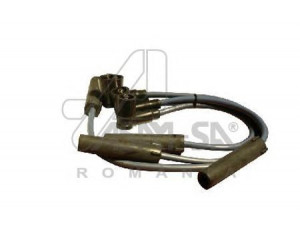 ASAM 30363 uždegimo laido komplektas
7700273226, 8200506297