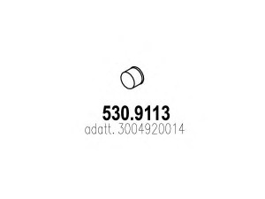 ASSO 530.9113 išleidimo kolektorius
3004920014