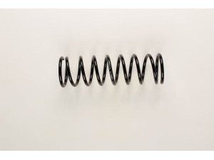 BILSTEIN 36-216802 spyruoklė 
 Pakaba -> Spyruoklės
NB50-28-011