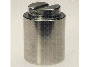 TRISCAN 8170 234835 stūmoklis, stabdžių apkaba