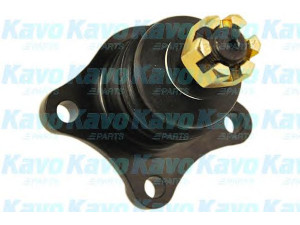 KAVO PARTS SBJ-5508 atramos/vairo trauklė 
 Ašies montavimas/vairavimo mechanizmas/ratai -> Sujungimai -> Atramos/vairo trauklė
MB860829, MB860830