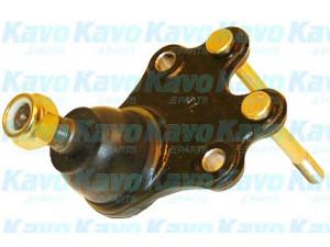 KAVO PARTS SBJ-9004 atramos/vairo trauklė 
 Ašies montavimas/vairavimo mechanizmas/ratai -> Sujungimai -> Atramos/vairo trauklė
4335029065, 4335029095