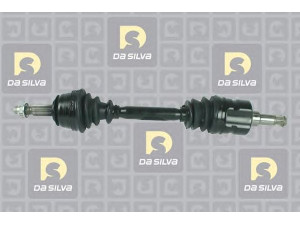DA SILVA C10035 kardaninis velenas 
 Ratų pavara -> Kardaninis velenas
4808883