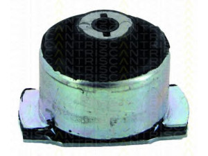 TRISCAN 8500 25821 stebulės laikiklio įvorė 
 Ašies montavimas/vairavimo mechanizmas/ratai -> Ašies atrama/ašies korpusas/ašies montavimas -> Pasukamojo veleno sujungimas
7700 415 488, 8200 051 813, 8200 427 869