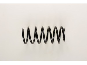 BILSTEIN 36-130825 spyruoklė 
 Pakaba -> Spyruoklės
191 411 105 AD, 1J0 411 105 BG