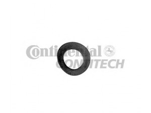 CONTITECH V71157 poveržlė
N0122314