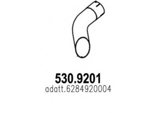 ASSO 530.9201 išleidimo kolektorius 
 Išmetimo sistema -> Išmetimo vamzdžiai
6284920004, A6284920004