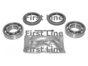 FIRST LINE FBK158 rato guolio komplektas
33411108408