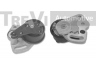 TREVI AUTOMOTIVE TD1265 įtempiklio skriemulys, paskirstymo diržas 
 Techninės priežiūros dalys -> Papildomas remontas
60603054