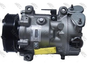 TEAMEC 8608558 kompresorius, oro kondicionierius 
 Oro kondicionavimas -> Kompresorius/dalys
6453ZS, 6453ZT, 9671451380, 9684141780
