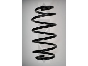 SPIDAN 55115 spyruoklė 
 Pakaba -> Spyruoklės
31 33 6 750 331