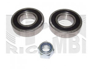 AUTOTEAM RA3010 rato guolio komplektas 
 Ašies montavimas/vairavimo mechanizmas/ratai -> Rato stebulė/montavimas -> Rato guolis
7701461046