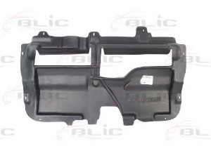 BLIC 6601-02-0519860P variklio dangtis 
 Variklis -> Variklio dangtis
7013EN