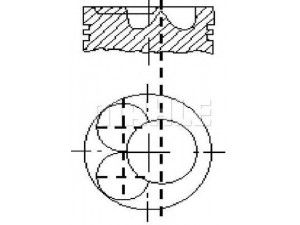 METAL LEVE P1159 stūmoklis
1545295