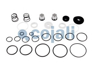 COJALI 6012135 remonto komplektas, darbino stabdžio vožtuvas