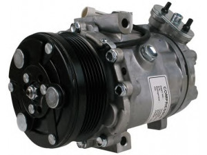 PowerMax 7010586 kompresorius, oro kondicionierius 
 Oro kondicionavimas -> Kompresorius/dalys
1854107, 1854112, 1854122, 24407119
