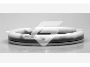 HUTCHINSON 200010 frikcinis guolis, pakabos statramsčio atramos montavimas
441412249A, 441412249A