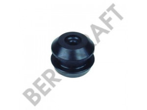 BERGKRAFT BK2866821SP variklio montavimas
52 RS 012 269, 52RS012269, 81.96020.0391