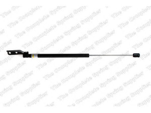 ROC GS1252 dujinė spyruoklė, bagažinė 
 Priedai -> Bagažinė/pakrovimo skyrius
8186051810