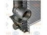 HELLA 8MK 376 761-541 radiatorius, variklio aušinimas
BHT A9986, BHT E7236, BHT U3692002