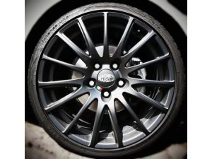MAGNETI MARELLI 000202114203 žiedas 
 Ratai / padangos -> Žiedai