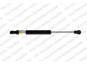 ROC GS0955 dujinė spyruoklė, bagažinė 
 Priedai -> Bagažinė/pakrovimo skyrius
60694168