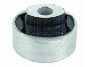 TRISCAN 8500 16841 valdymo svirties/išilginių svirčių įvorė 
 Ašies montavimas/vairavimo mechanizmas/ratai -> Valdymo svirtis/pasukamosios svirties sujungimas -> Montavimas/sutvirtinimas