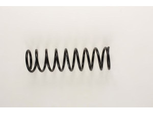 BILSTEIN 36-133482 spyruoklė 
 Pakaba -> Spyruoklės
6130198, 84 AB 5310 CA