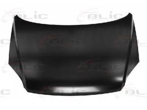 BLIC 6803-00-3291280P gaubtas 
 Kėbulas -> Transporto priemonės priekis -> Gaubtas/dalys/garso izoliacinė medžiaga
664001F010