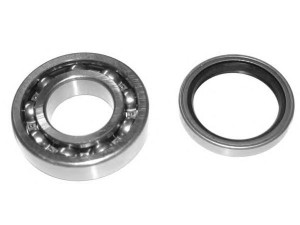 MGA KR3198 rato guolio komplektas 
 Ašies montavimas/vairavimo mechanizmas/ratai -> Rato stebulė/montavimas -> Rato guolis
794, 926835009