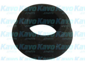 KAVO PARTS SCR-1508 valdymo svirties/išilginių svirčių įvorė 
 Ašies montavimas/vairavimo mechanizmas/ratai -> Valdymo svirtis/pasukamosios svirties sujungimas -> Montavimas/sutvirtinimas
9004385149