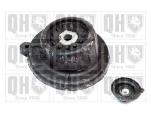 QUINTON HAZELL EMR6097 pakabos statramsčio atraminis guolis 
 Ašies montavimas/vairavimo mechanizmas/ratai -> Montavimas, pakabos statramstis
50700512, 50700886, 50702841