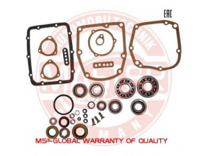 MASTER-SPORT 2101/5S-PR-SET-MS guolių komplektas, neautomatinė transmisija 
 Transmisija -> Neautomatinė pavarų dėžė -> Remonto komplektai
2101-1701033, 2101-1701068, 2101-1701073