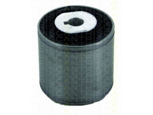 TRISCAN 8500 65827 valdymo svirties/išilginių svirčių įvorė 
 Ašies montavimas/vairavimo mechanizmas/ratai -> Valdymo svirtis/pasukamosios svirties sujungimas -> Montavimas/sutvirtinimas
4545711