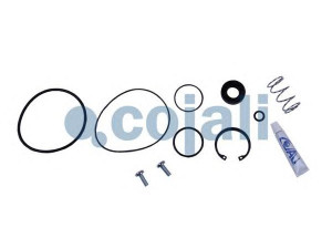 COJALI 6014413 remonto komplektas, greitinimo vožtuvas