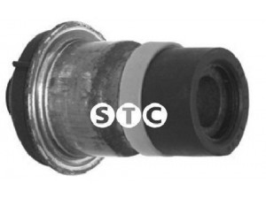 STC T405710 variklio montavimas 
 Variklis -> Variklio montavimas -> Variklio montavimo rėmas
82 00 742 906